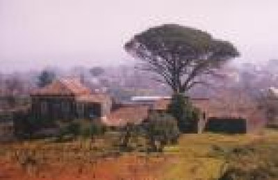 Piano Sviluppo Rurale: bando per le misure agroambientali